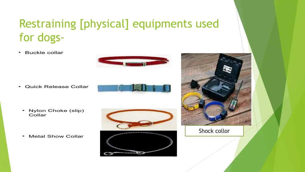 restraining physical equipments used for dogs