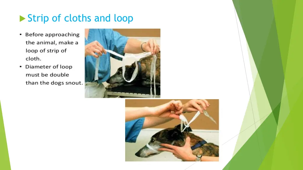 strip of cloths and loop