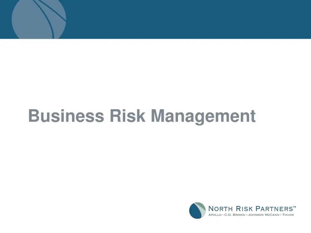 business risk management