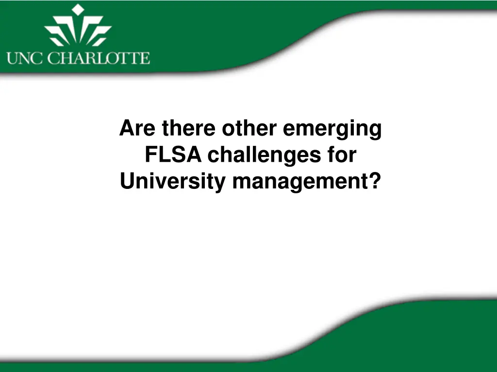 are there other emerging flsa challenges