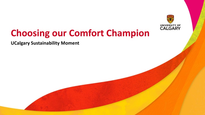 choosing our comfort champion ucalgary