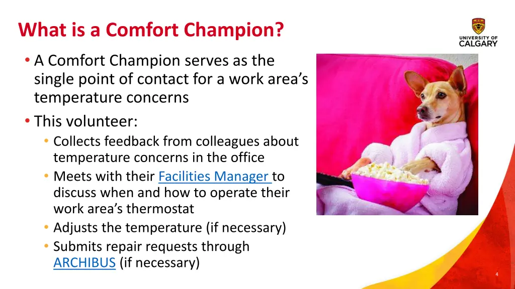 what is a comfort champion a comfort champion