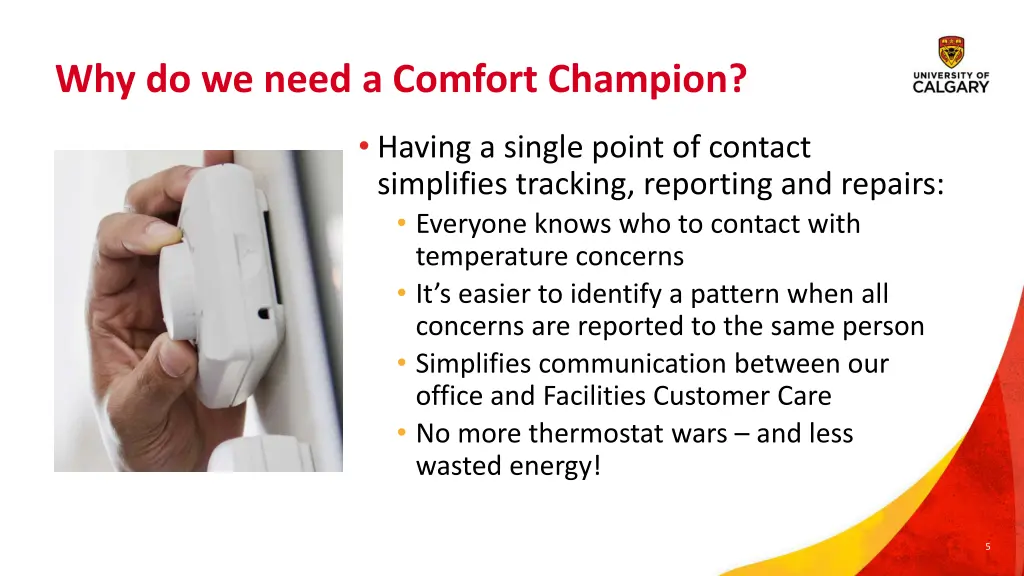 why do we need a comfort champion