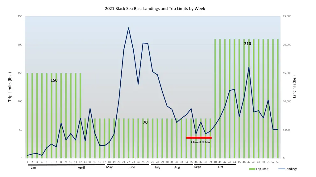 2021 black sea bass landings and trip limits