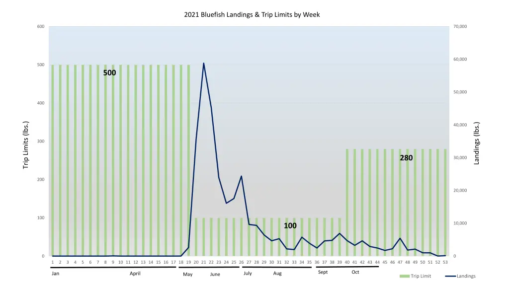 2021 bluefish landings trip limits by week