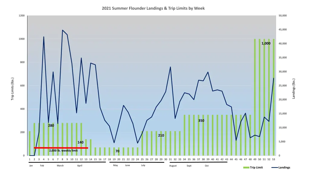 2021 summer flounder landings trip limits by week