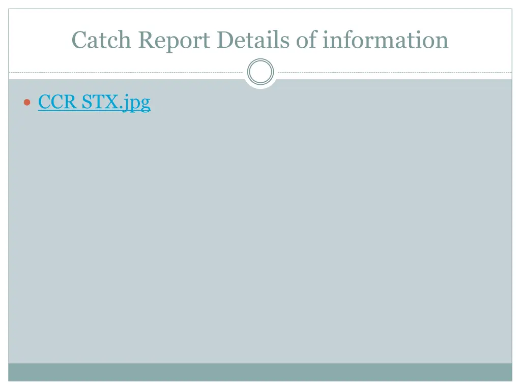 catch report details of information