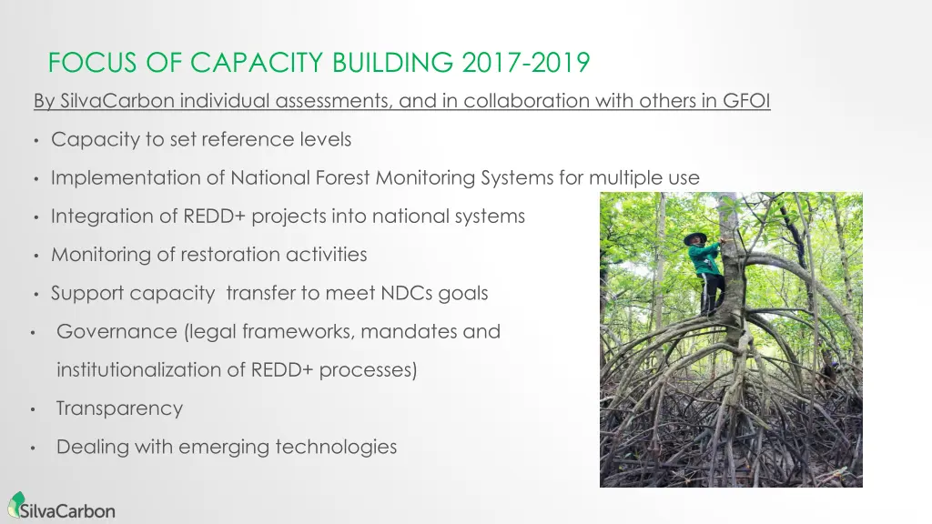 focus of capacity building 2017 2019