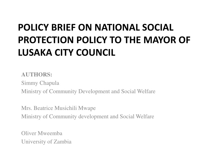 policy brief on national social protection policy