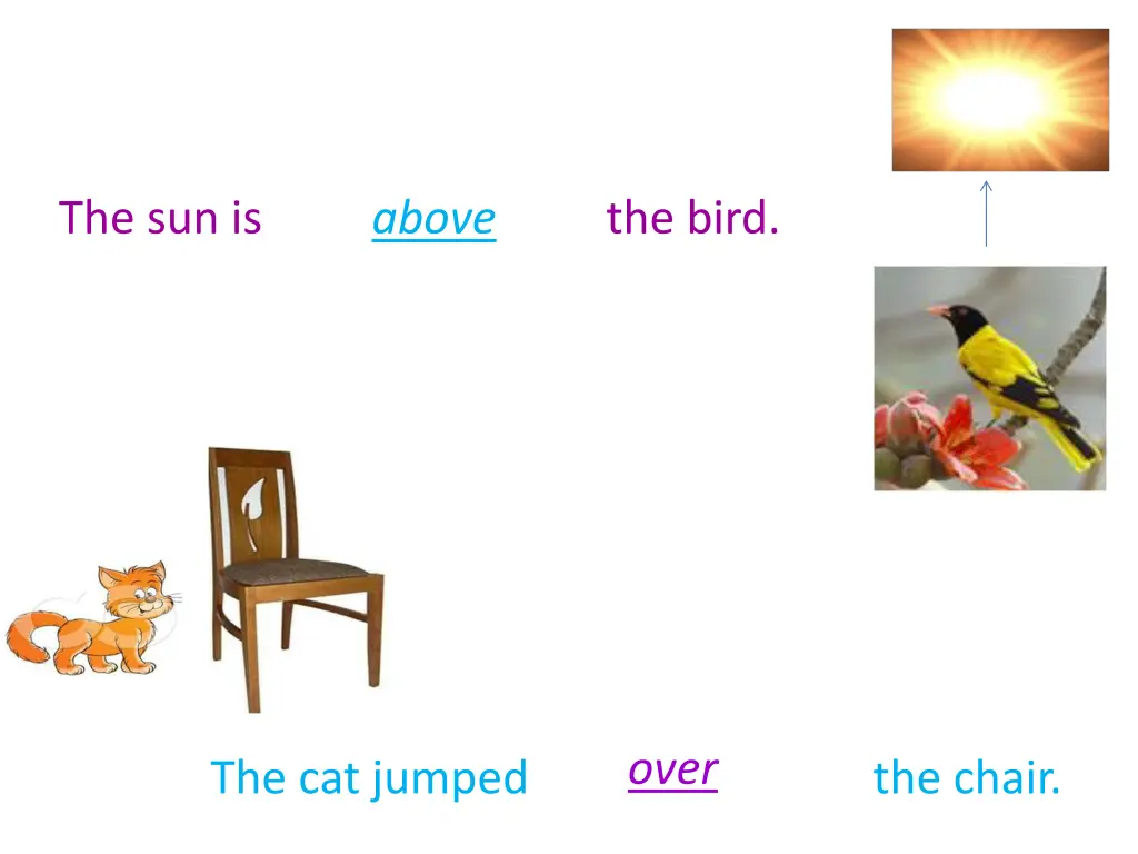 the sun is the bird above