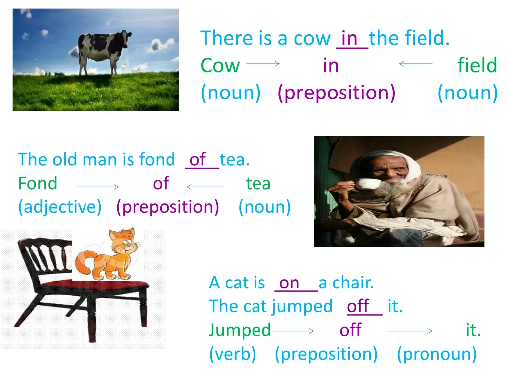 there is a cow in the field cow in field noun