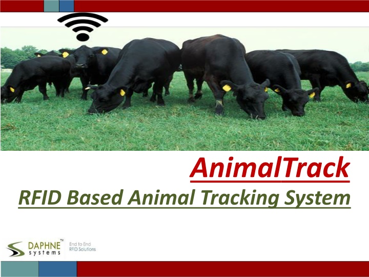 animaltrack