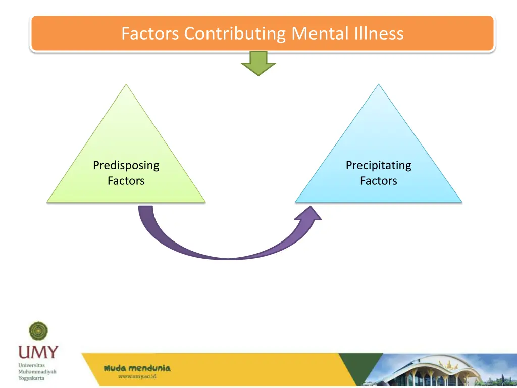 factors contributing mental illness