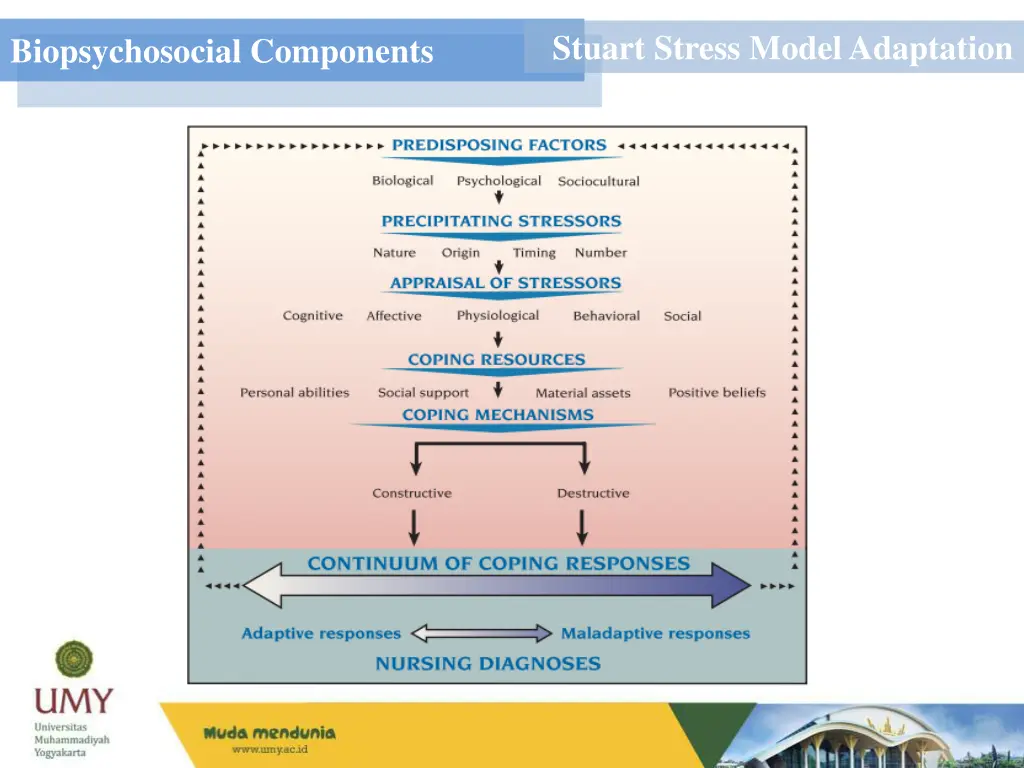 stuart stress model adaptation