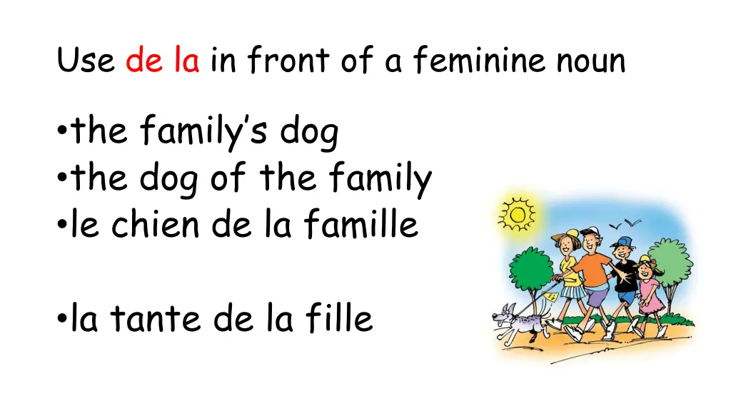 use de la in front of a feminine noun