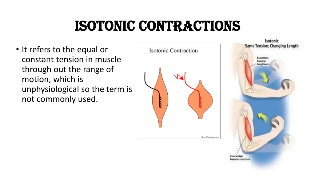 isotonic contractions isotonic contractions