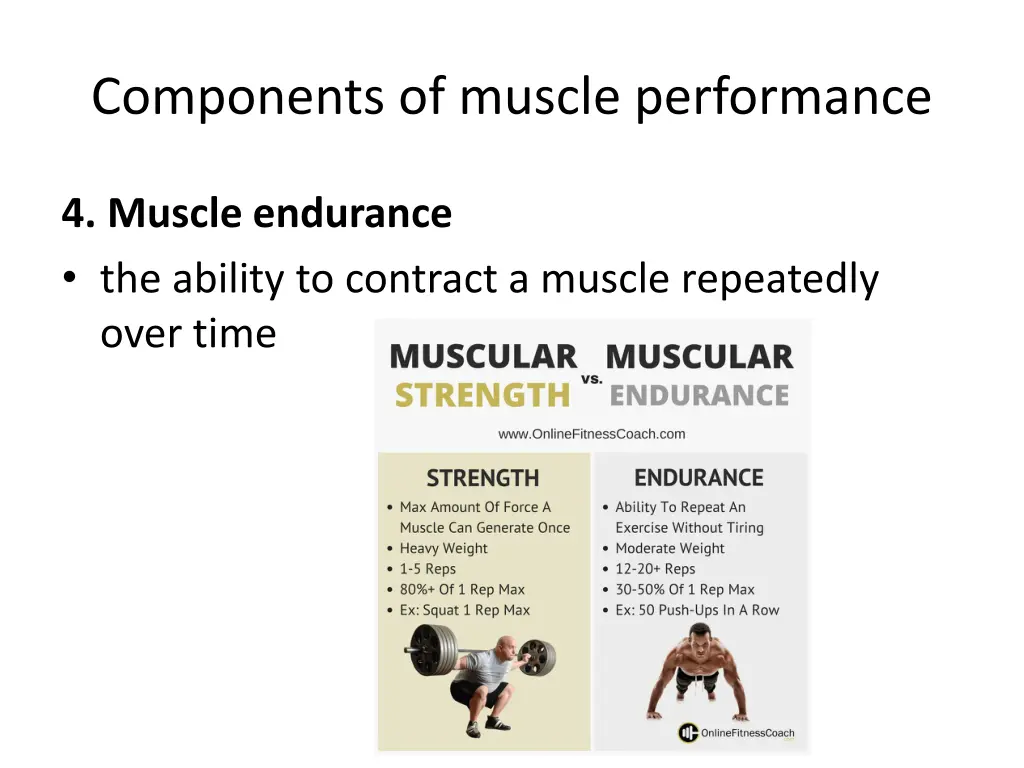 components of muscle performance 3