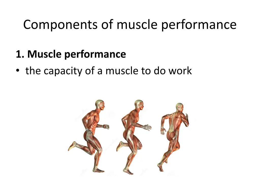 components of muscle performance