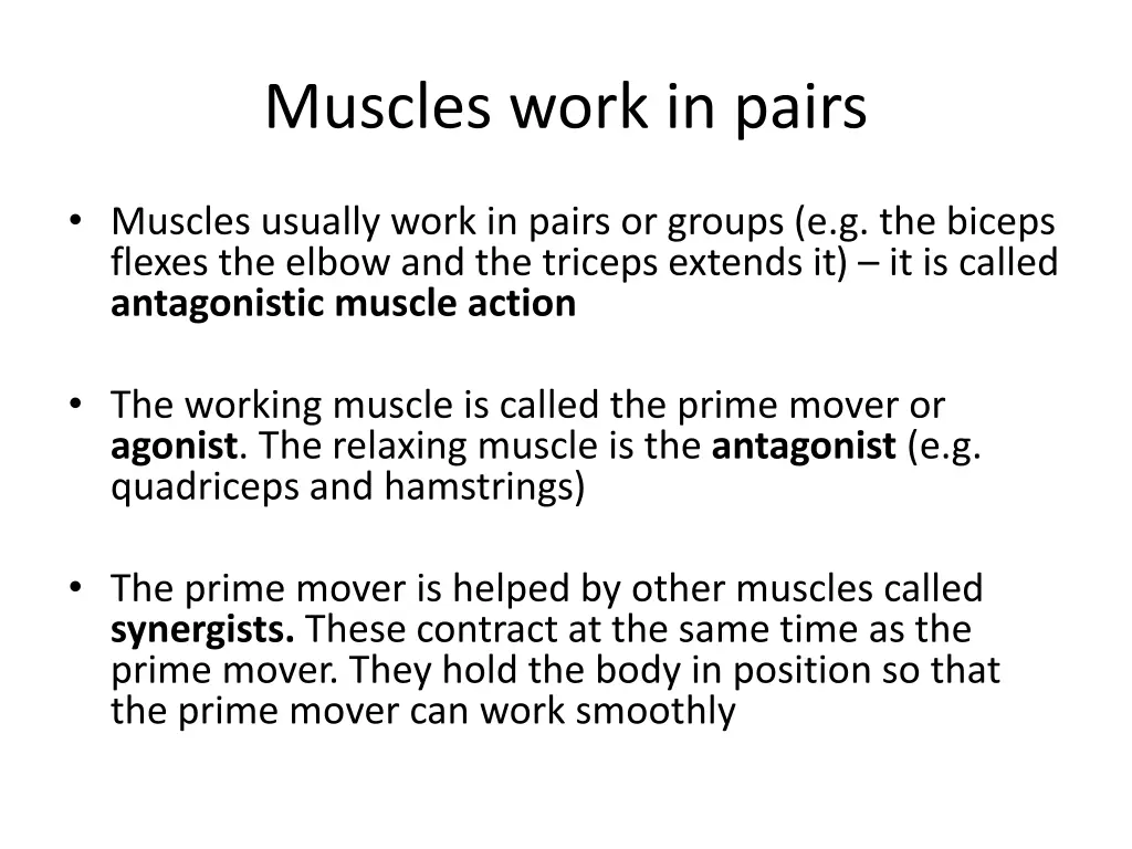 muscles work in pairs