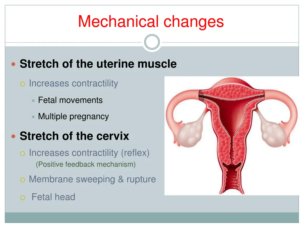 mechanical changes