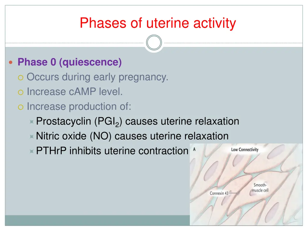 phases of uterine activity 1