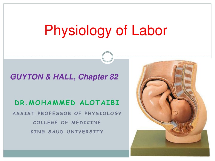 physiology of labor