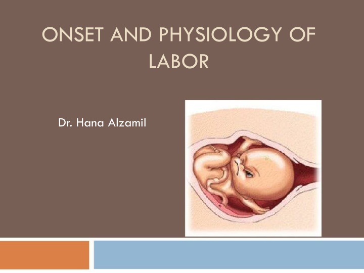 onset and physiology of labor