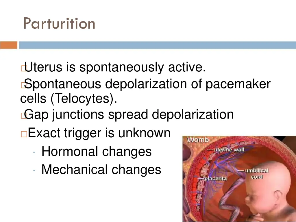 parturition 1