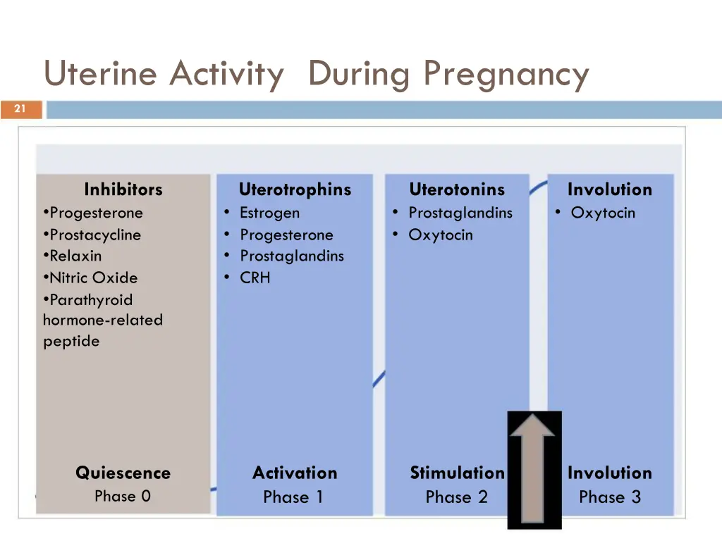 uterine activity during pregnancy