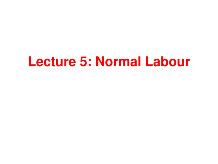 lecture 5 normal labour