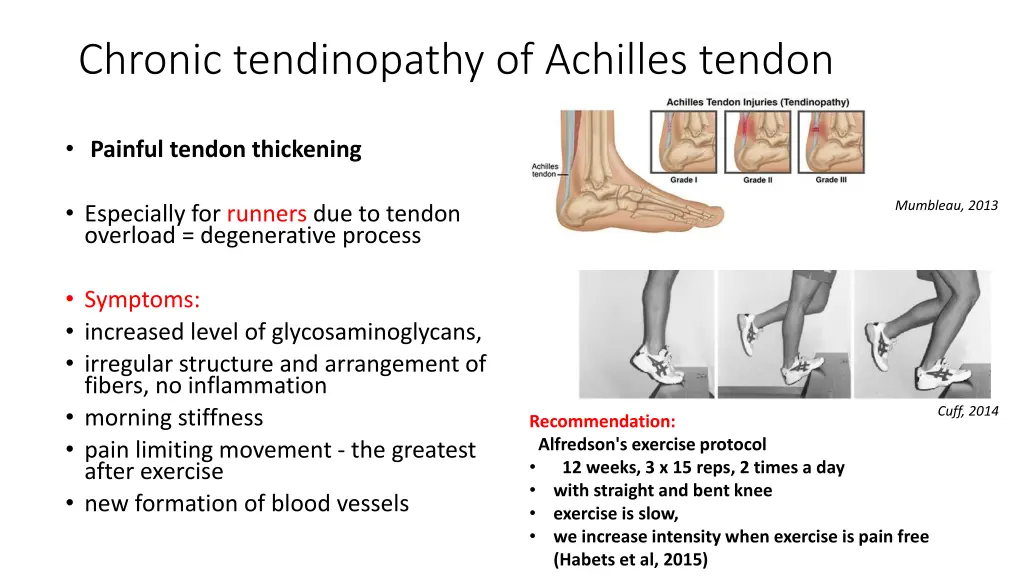 chronic tendinopathy of achilles tendon