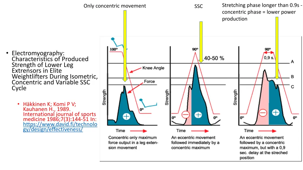 stretching phase longer than 0 9s concentric