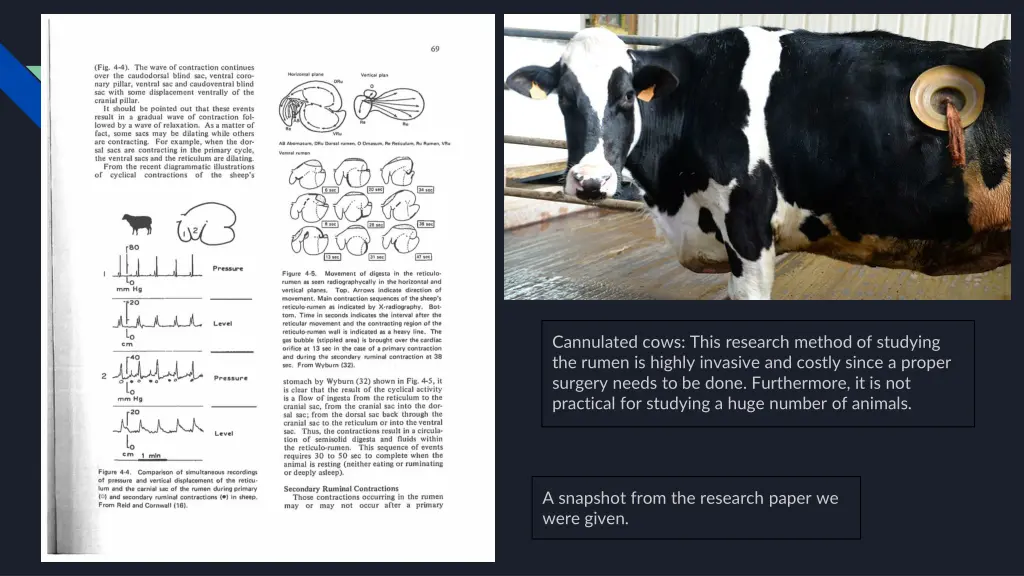 cannulated cows this research method of studying