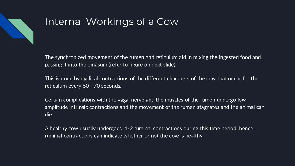 internal workings of a cow