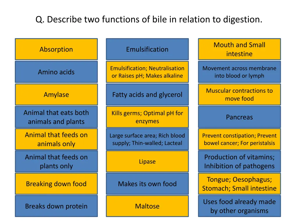 q describe two functions of bile in relation