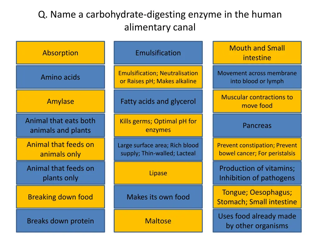 q name a carbohydrate digesting enzyme