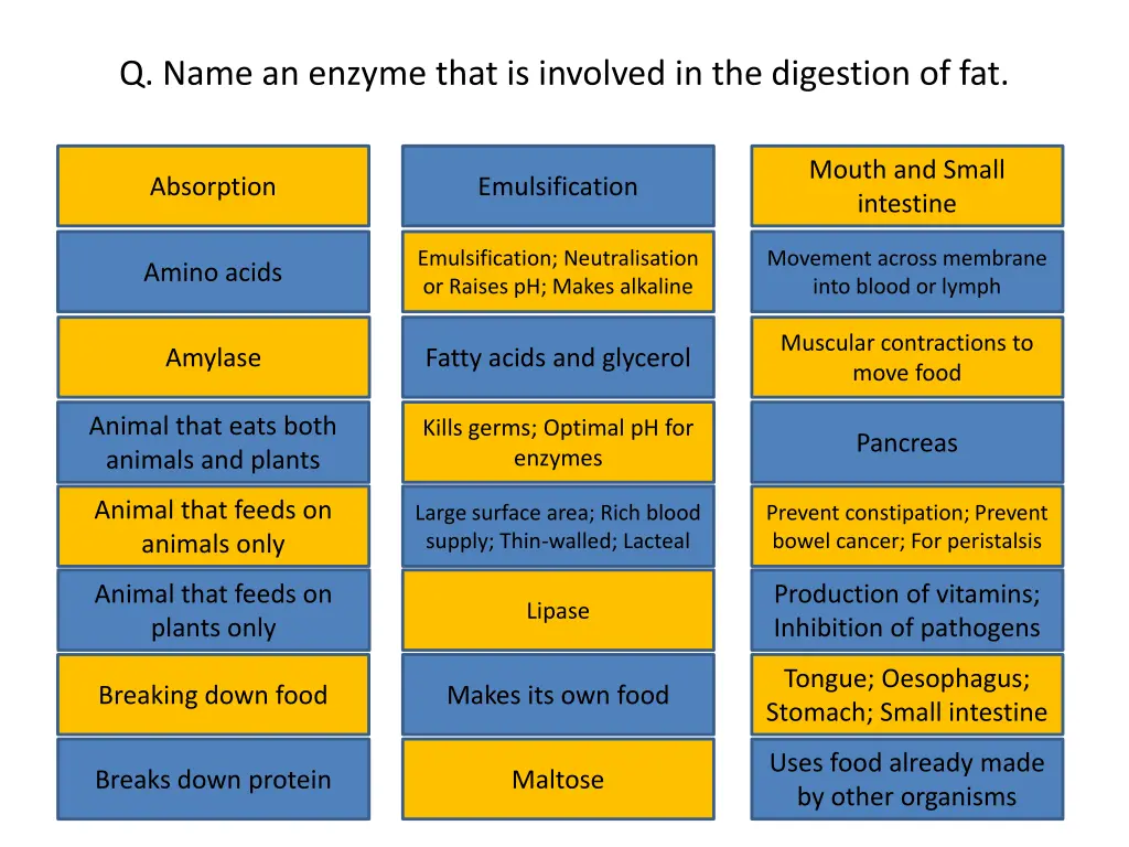 q name an enzyme that is involved