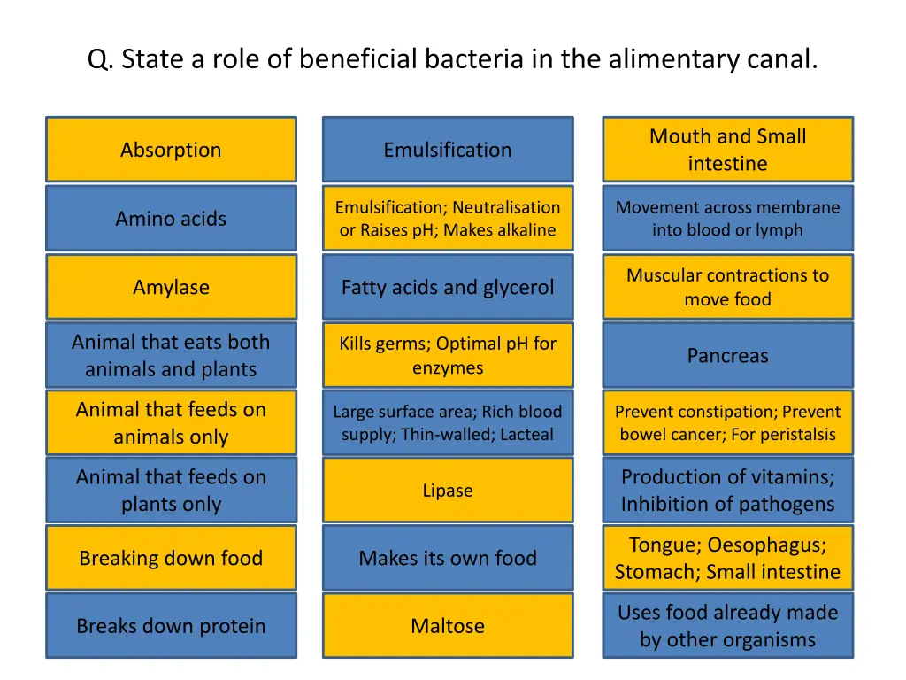 q state a role of beneficial bacteria