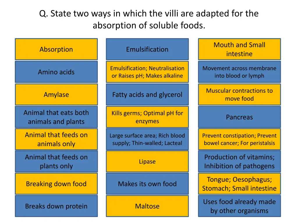 q state two ways in which the villi are adapted