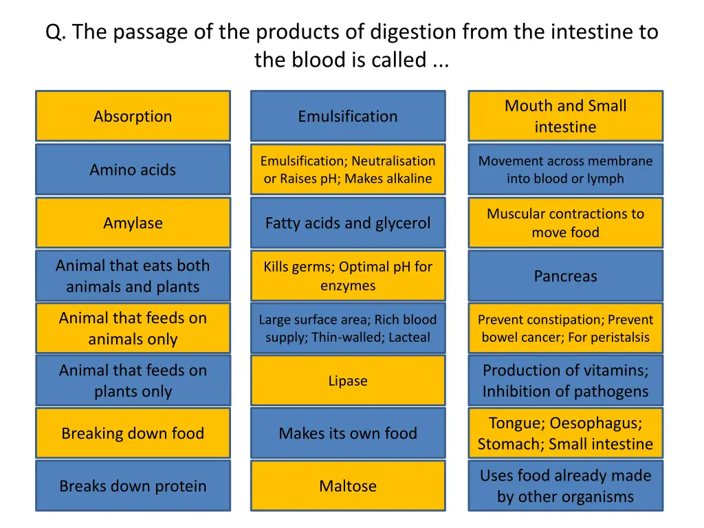 q the passage of the products of digestion from