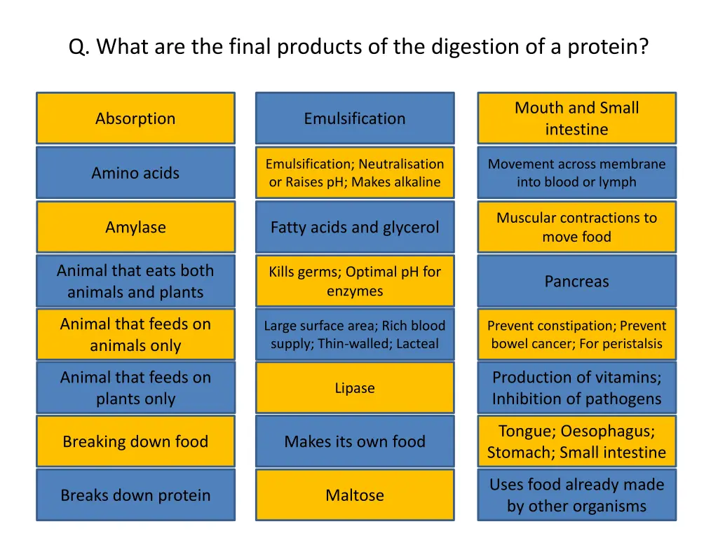 q what are the final products of the digestion