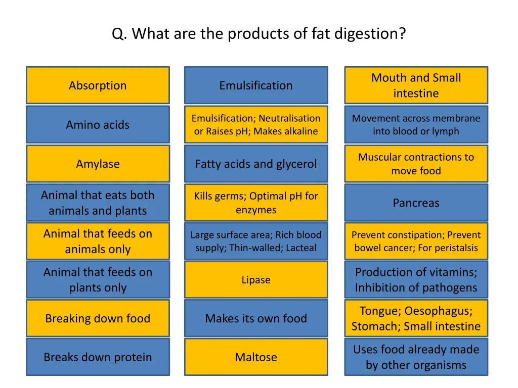 q what are the products of fat digestion