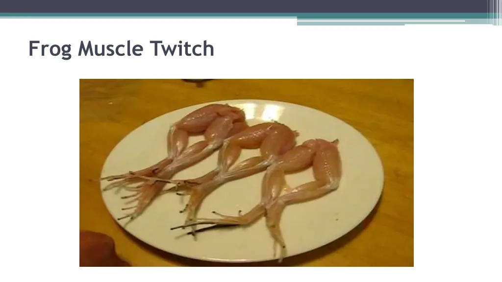 frog muscle twitch