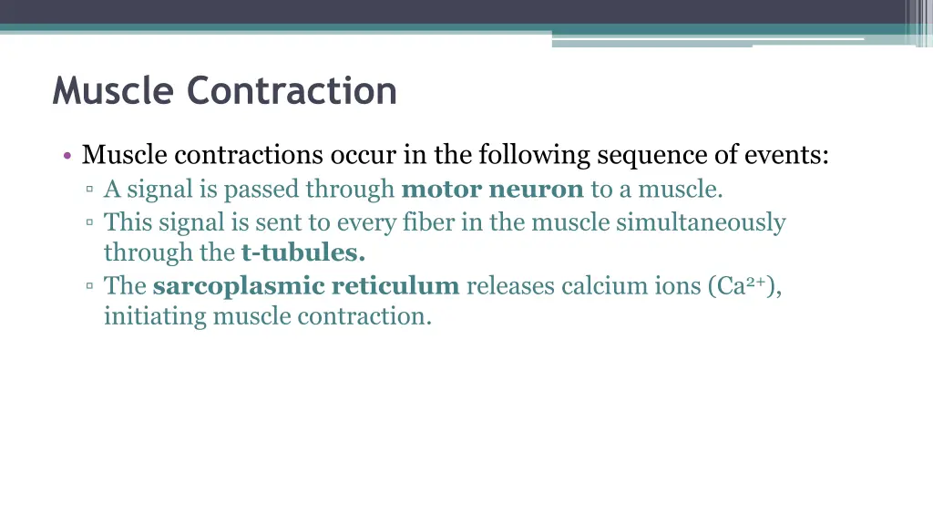 muscle contraction