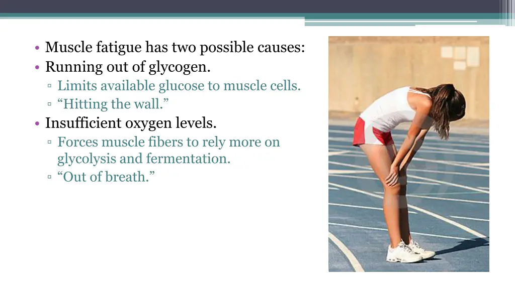 muscle fatigue has two possible causes running