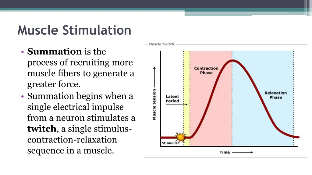 muscle stimulation