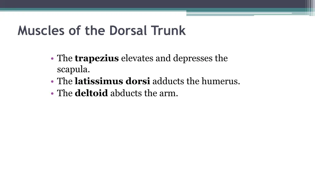 muscles of the dorsal trunk