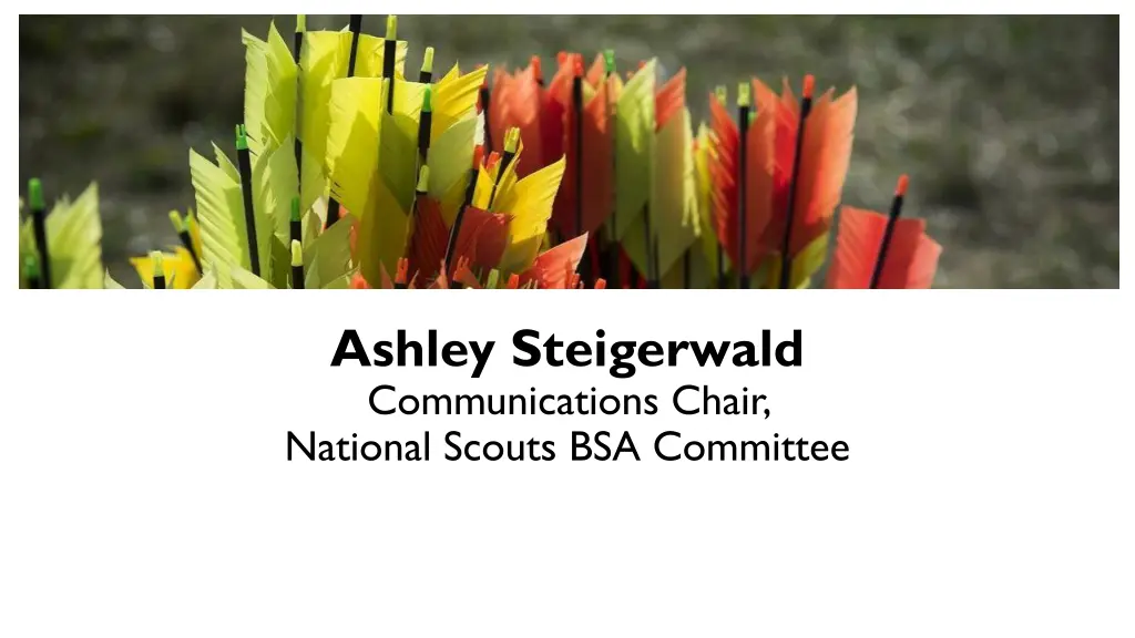 ashley steigerwald communications chair national