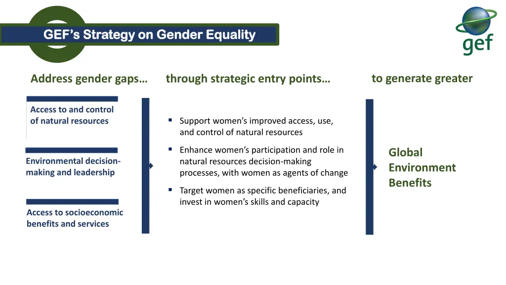 gef s strategy on gender equality gef s strategy