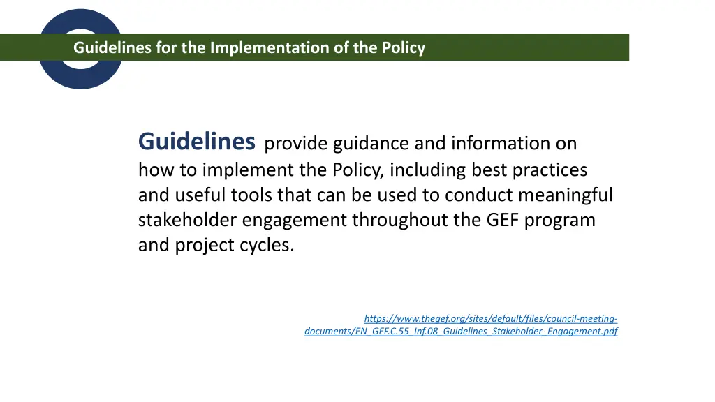 guidelines for the implementation of the policy